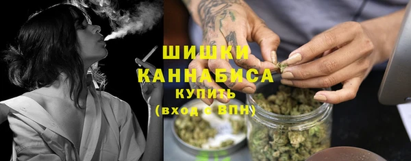 гидра Верхний Тагил