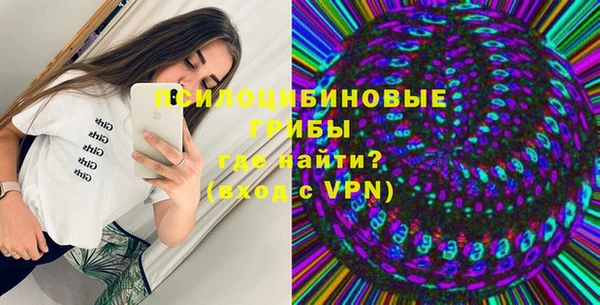 гидра Верхний Тагил