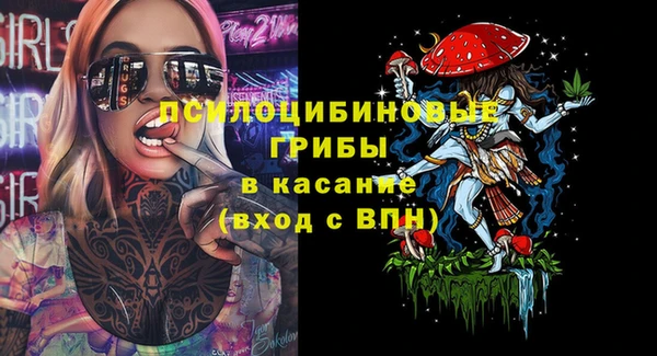 гидра Верхний Тагил