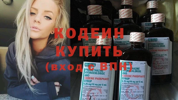 гидра Верхний Тагил