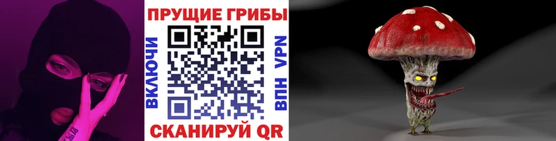 маркетплейс официальный сайт  KRAKEN рабочий сайт  Оха  Псилоцибиновые грибы ЛСД 